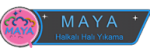 Maya Halı Yıkama