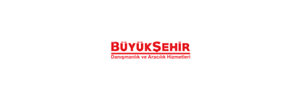 BÜyÜkŞehİr DaniŞmanlik